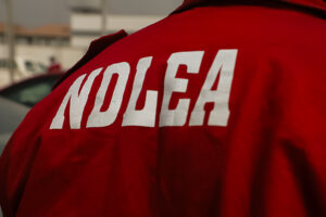 NDLEA officer