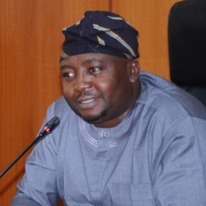 Adelabu: Damaged electricity transmission line in northern Nigeria will soon be restored