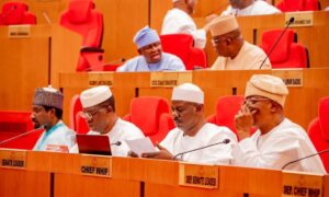 Ali Ndume, chief whip of the Senate of the Federal Republic of Nigeria