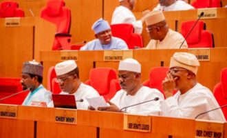 Senate approves committee report on bill establishing south-east commission