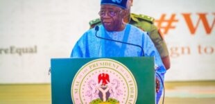 Environment Day: We are committed to planting 25m trees by 2030, says Tinubu