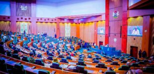 Reps to security agencies: Thoroughly probe despicable killing of soldiers in Abia