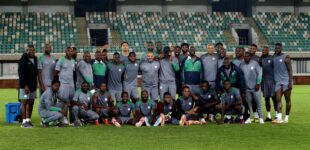We’ll fight hard to qualify for World Cup, Eagles assure Nigerians
