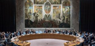 UN security council backs US-proposed Israel-Hamas ceasefire deal