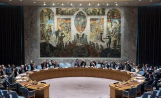 UN security council backs US-proposed Israel-Hamas ceasefire deal