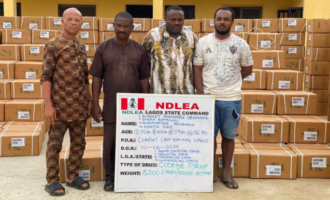 Four arrested as NDLEA raids Lagos warehouse, seizes ‘82,000’ bottles of codeine