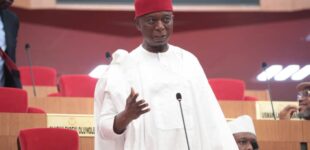 Ned Nwoko: I will sponsor bill to create Anioma state to correct historical oversight in south-east