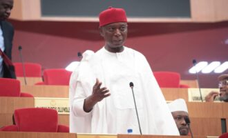 Ned Nwoko: I will sponsor bill to create Anioma state to correct historical oversight in south-east