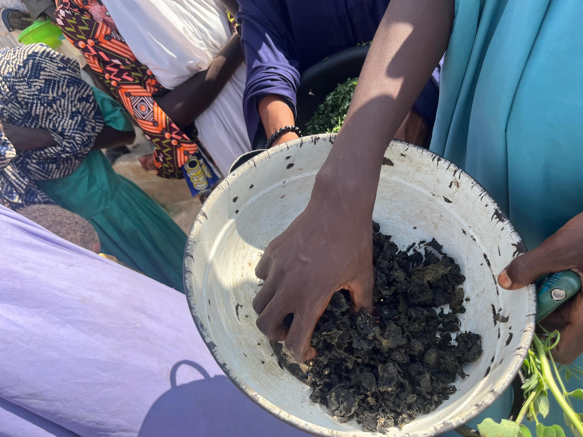 INSIDE STORY: Food, water scarcity threatening survival among Yobe IDPs