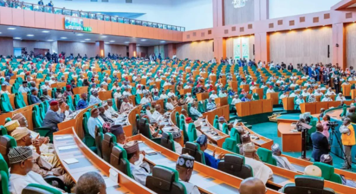 Reps dissolve panel probing petrol queues, blame ‘negative media coverage’