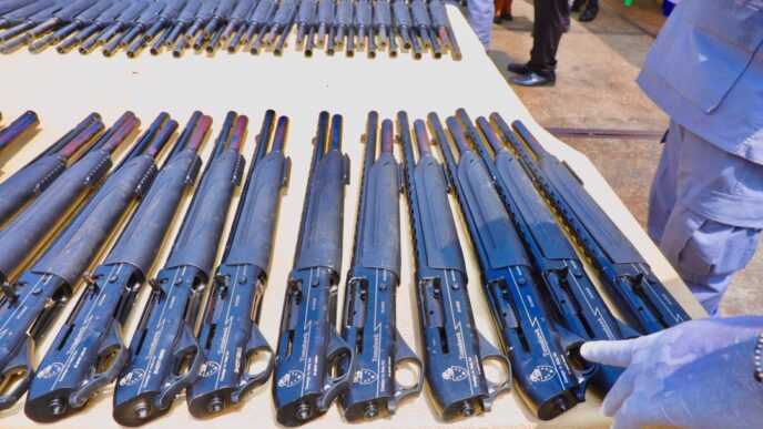 Rifles seized at Lagos airport by the customs