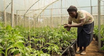 Climate-smart agriculture