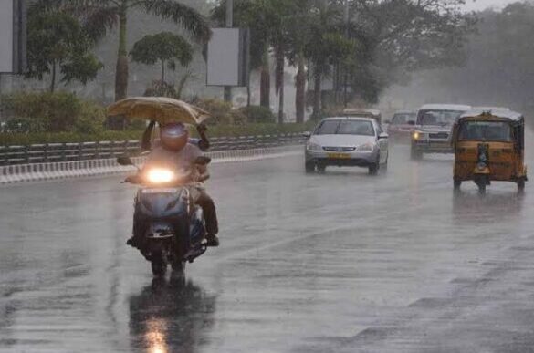 rain falling on a road