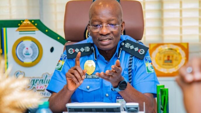 Kayode Egbetokun, inspector-general of police (IGP)