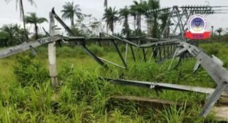 Bayelsa faces prolonged power outage as vandals destroy 13 transmission towers