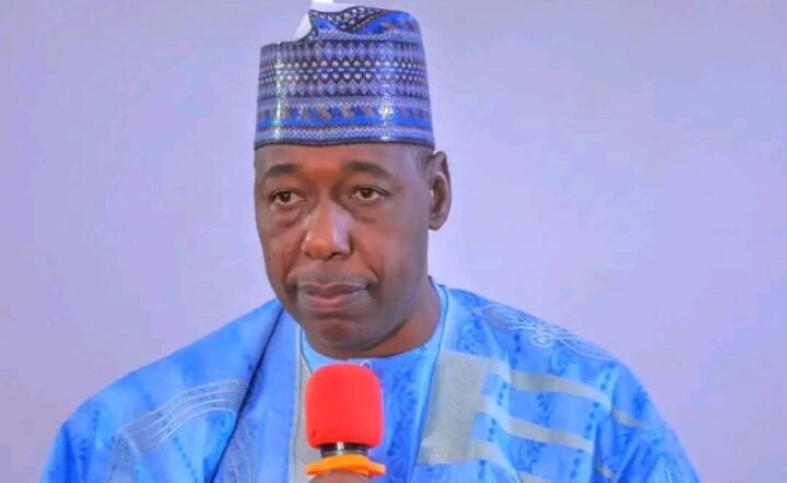 Babagana Zulum, governor of Borno, on tax bills