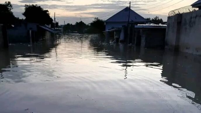 Flood in Maiduguri, Borno