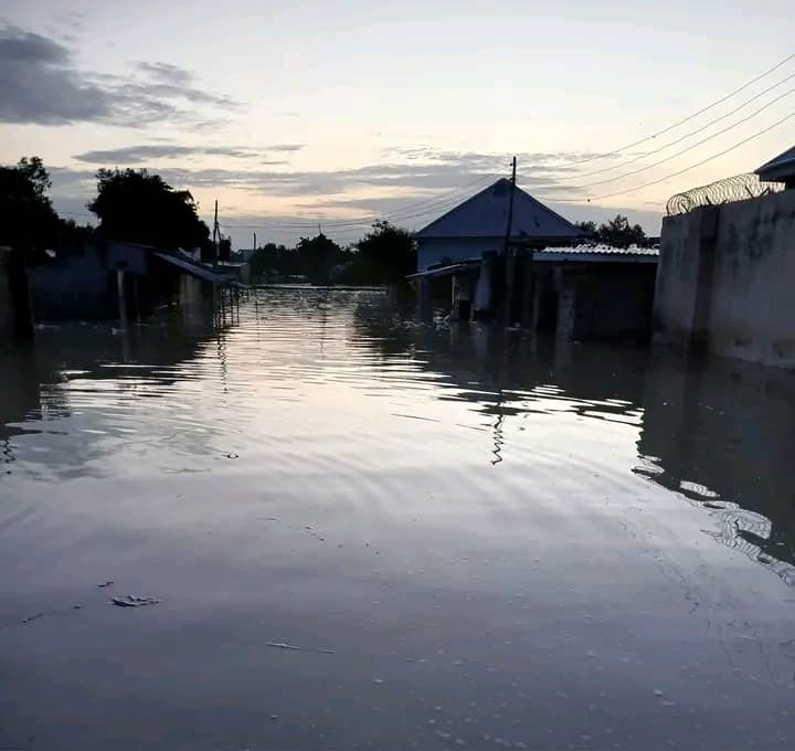 Flood in Maiduguri, Borno