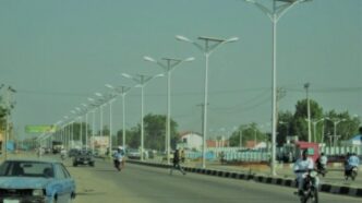 BudgIT: Cocoa research institute got N250m for Lagos streetlights project in 2024 budget