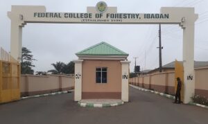 Forestry college in Oyo, Plateau states to become varsities