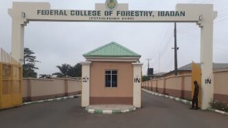 Forestry college in Oyo, Plateau states to become varsities