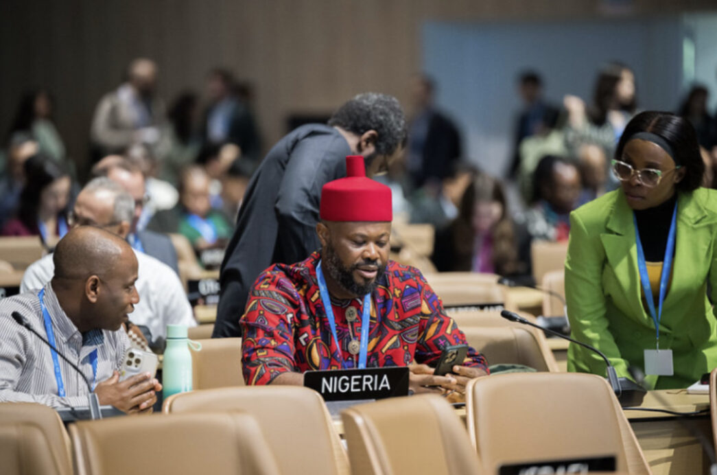 Nigeria COP29 delegation