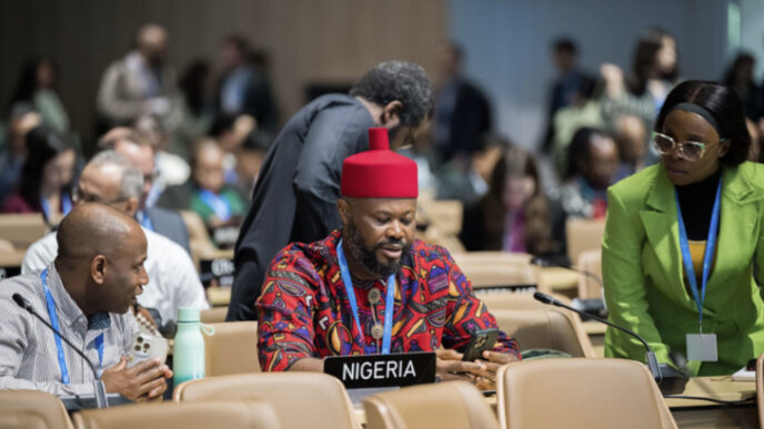 Nigeria COP29 delegation