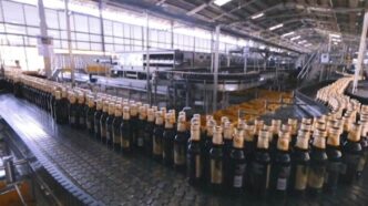 'Action ill-timed' -- MAN DG condemns closure of Coca-Cola, Guinness factories by Lagos