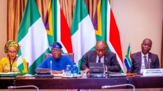 Nigeria, South Africa operationalise advisory council to boost trade