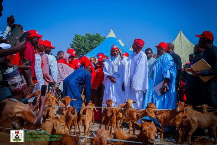 Abba Yusuf distributes goats to women in Kano