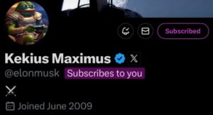 Meme coin rises by 2000% after Musk changed name to ‘Kekus Maximus’ on X