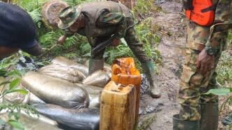 Troops confiscate '190,000 litres of stolen petroleum products’ in Niger Delta