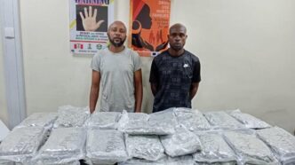 Lagos filmmaker arrested over cannabis trafficking case